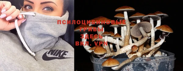 прущий лед Балахна