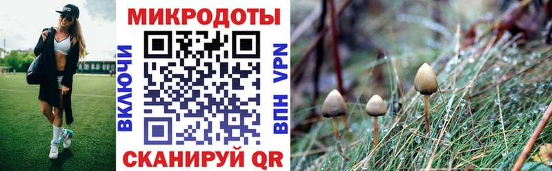 OMG как зайти  Ясногорск  Галлюциногенные грибы Magic Shrooms 